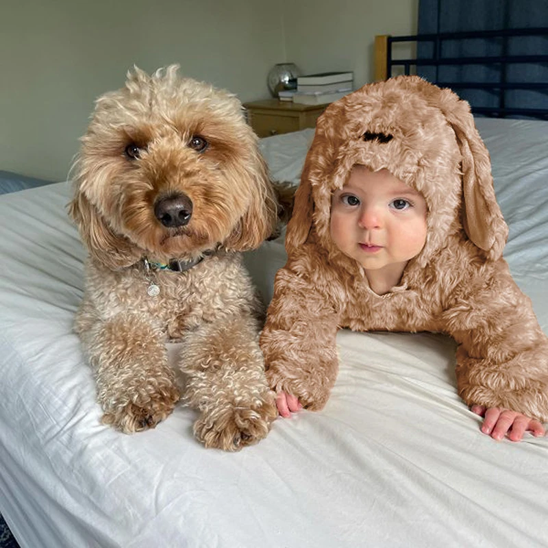 Cute Puppy Halloween Costume Adorable Hooded Jumpsuit with Plush Ears and Socks for Baby Dogs