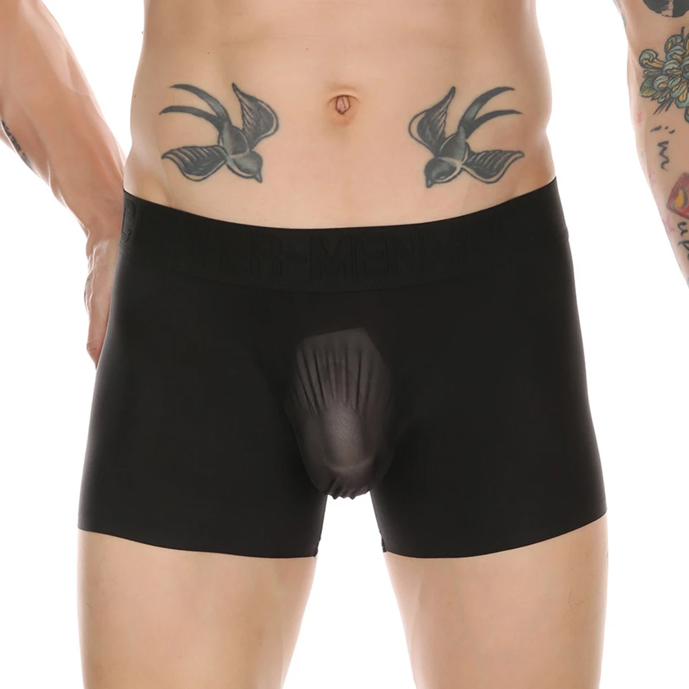 

Sexy Mens See Through Mesh Boxer Briefs Low Rise Pouch Panties Breathable Underpants Comfortable Lingerie Elastic Underwear