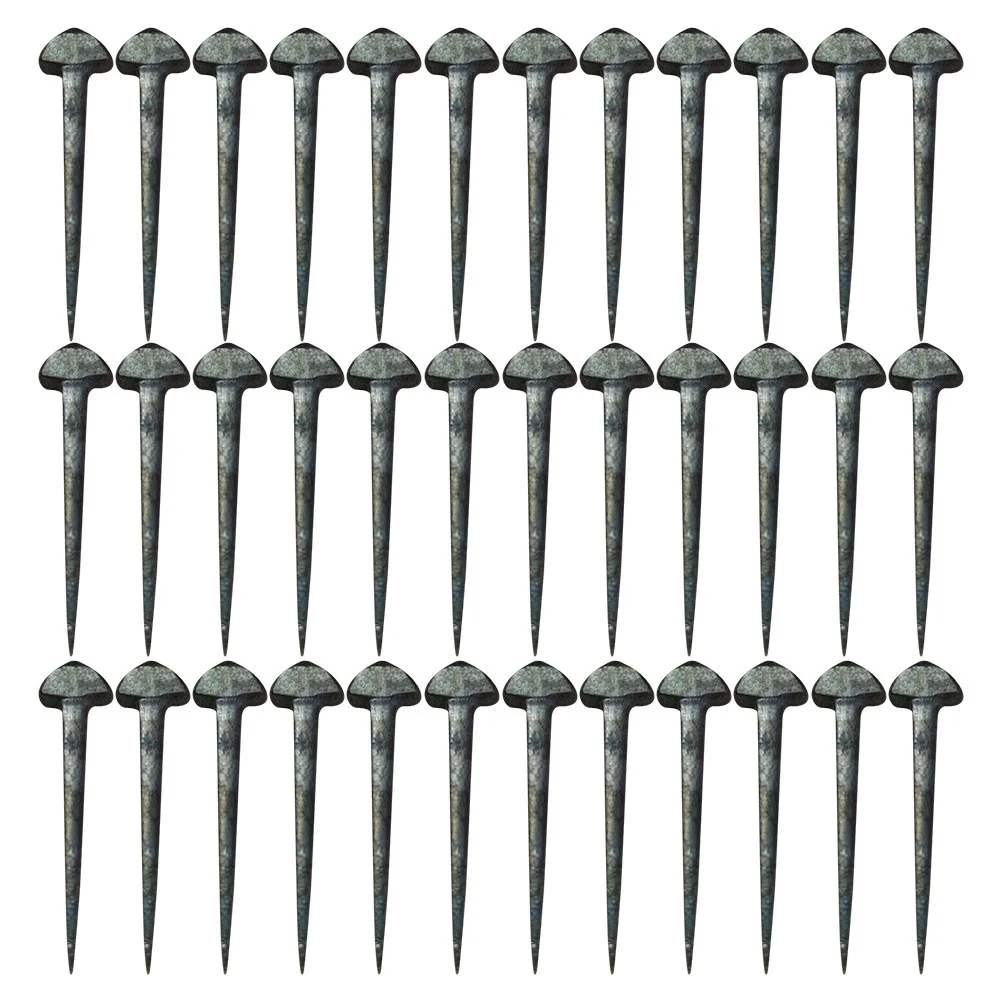 

50 Pcs Small Replaceable Hoof Nail Accessory Professional Hoof Nails Supply Accessories Sturdy Equipment Iron Compact Tool