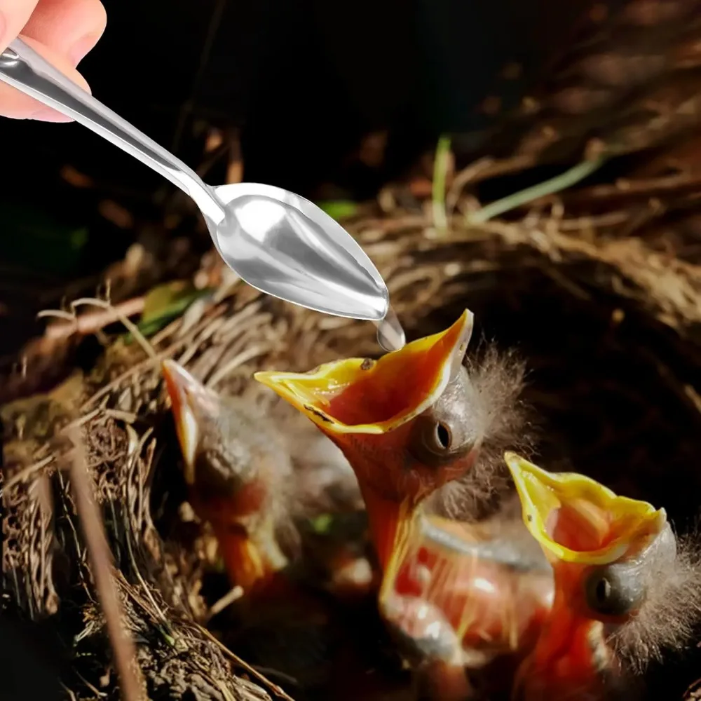 4.7" Bird Parrot Stainless Steel Metal Feeding Spoon Parrot Feeding Scoops Hand Spoons for Metal Bird Care Tool