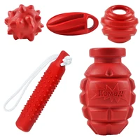 Big Dog Chew Toy - Bite Resistant