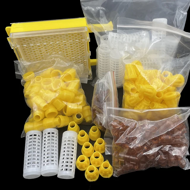 Jenter Kit Műanyag Queen Védelmi Borító Ketrec Cella Tenyésztő Inkubátor Doboz Magas Elfogadott Apikultúra Méhészeti Termékek