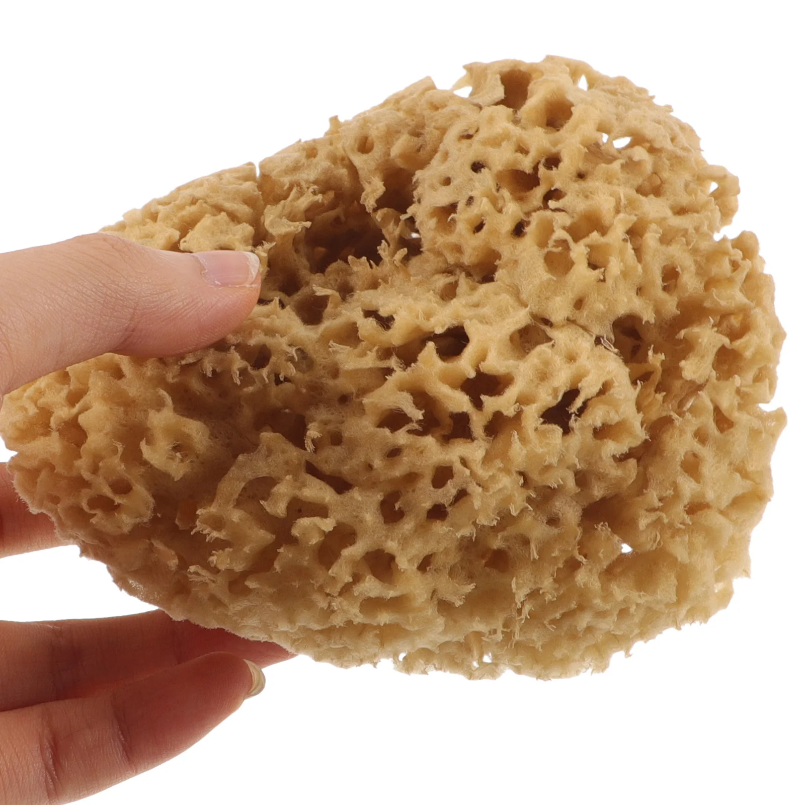 Household Greek Natural Sponge Baby Sponges Bath Sea for Bathing Skin Cleaning Scrubber 4