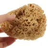 Household Greek Natural Sponge Baby Sponges Bath Sea for Bathing Skin Cleaning Scrubber 4
