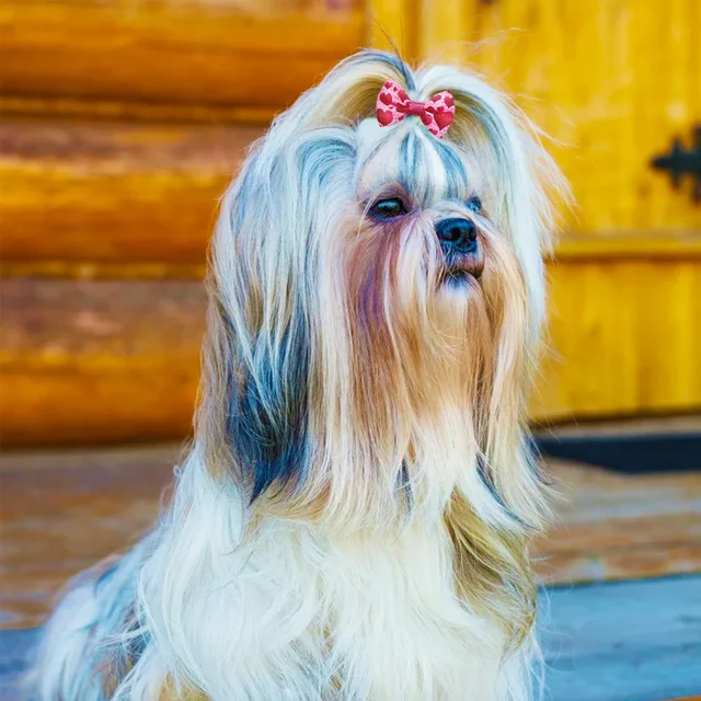 100pcs Pet Accessories Dog Hair bows Fashion Cute Dog Bows  Rubber Bands Pet Hair Collar Decoration for Dog Accessories 3