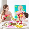 Human Body Organ Educational Learning Board Body Parts Learning Wall Chart for Kid Felt Preschool Kindergarten Teaching Supplies 1