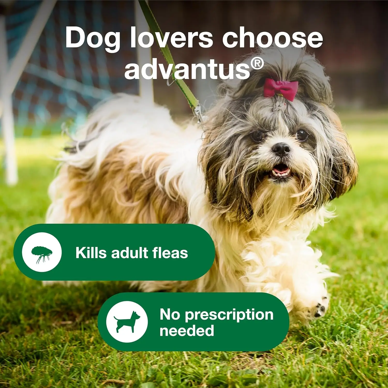 Flea Treatment for Dogs 4-22 lbs. 30 ct.