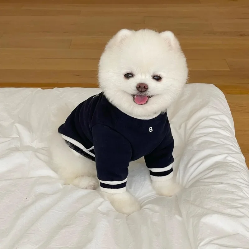 Pet embroidery and velvet autumn and winter round neck hoodie For dogs Pomeranians teddy bears Small dogs cats Pet clothes