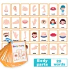 12 Thems Kids Montessori English Words Learning Cards High Frequency Words Vocabulary Building Teaching Aids Classroom Toys 6