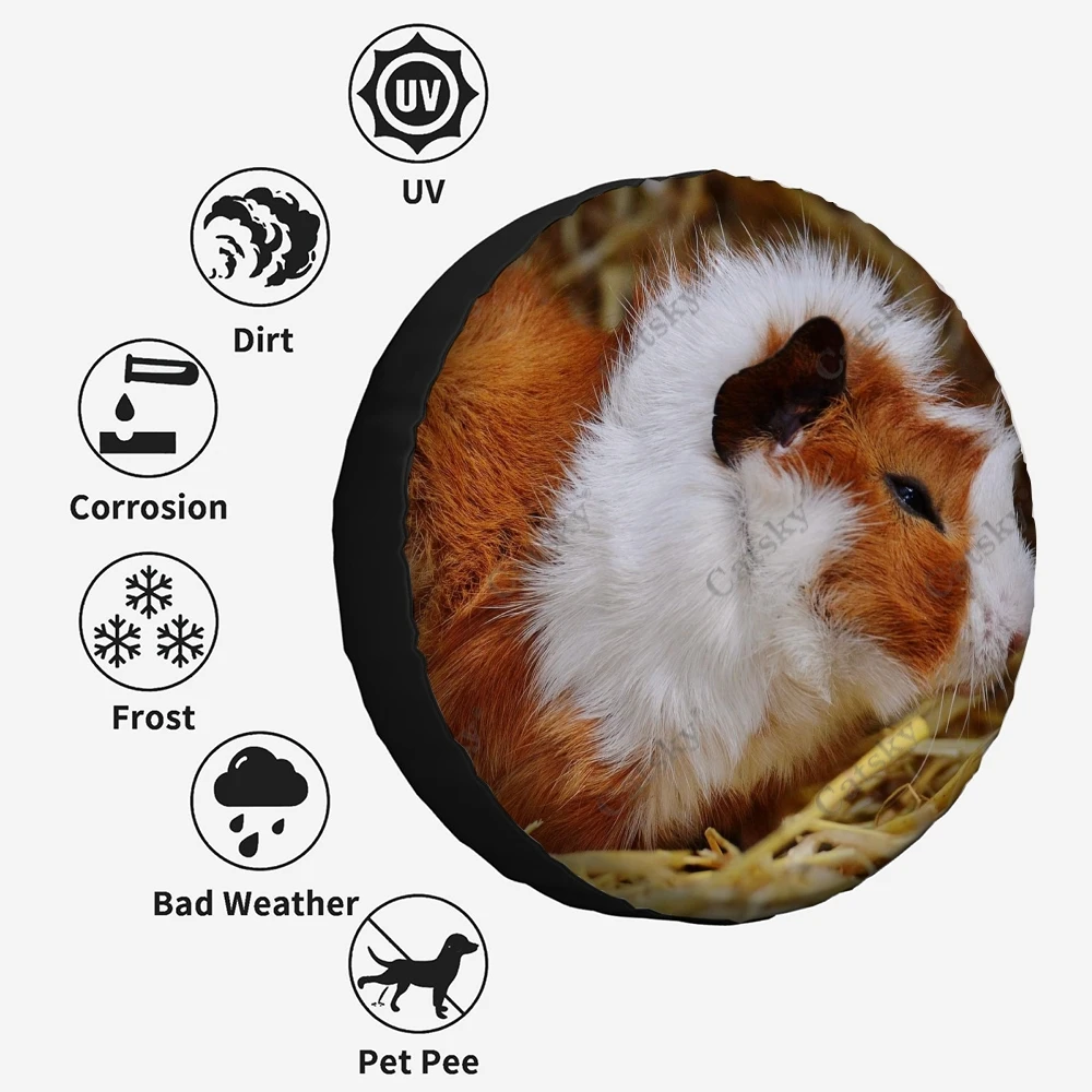 �Ϳ��� ����Ǳ� ����Ʈ �ڵ��� ����� Ÿ�̾� Ŀ��, ��� ��ȣ, Ʈ�� SUV Ʈ���Ϸ�, �ڵ��� �׼�����, ķ�� ���, 14-17 ��ġ