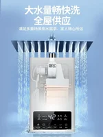 Chauffe-eau à gaz à température constante 12L 16L, gaz naturel GPL, à évacuation forcée, à pression équilibrée, pour usage domestique 4