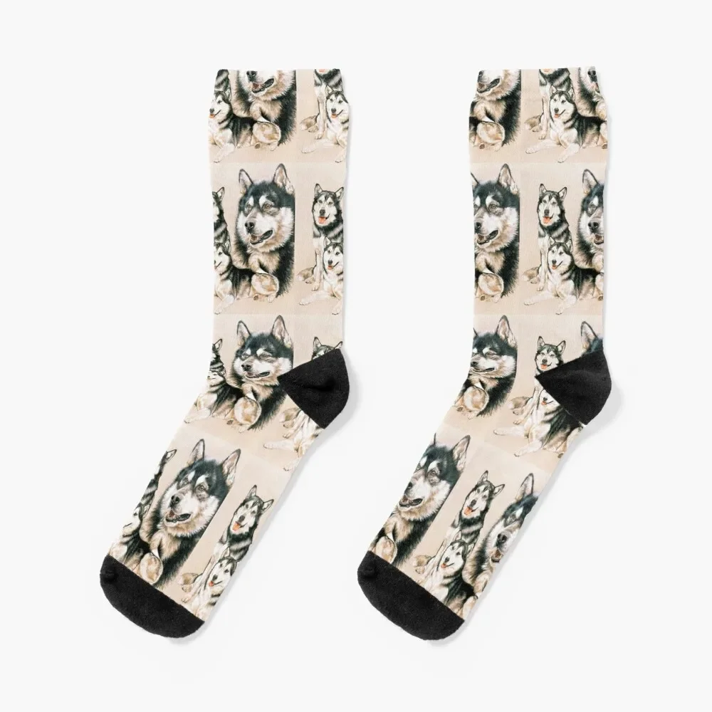 Alaskan Malamute Gallimaufry Socks Winter Thermal Cartoon Ladies Socks Uomo