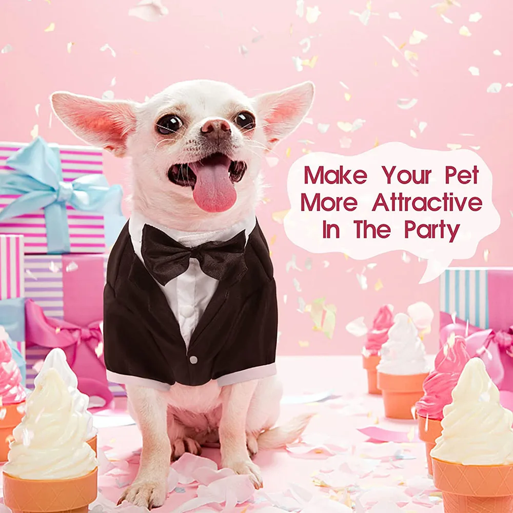 Elegant Dog Tuxedo Suit Close Up