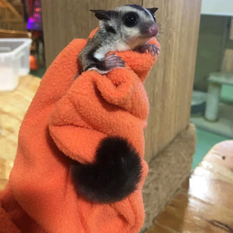 Anti bite gloves, honey bags, squirrels, flying squirrels, hamsters, pet warmth, scratch resistance, bathing, pet supplies pet cleaning tools