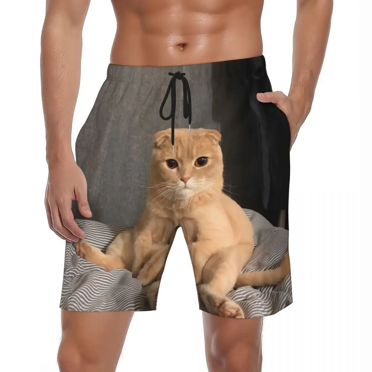 

Men Board Shorts Cute Orange Cat Stylish Swimming Trunks Animals Funny Comfortable Surfing Hot Oversize Beach Shorts