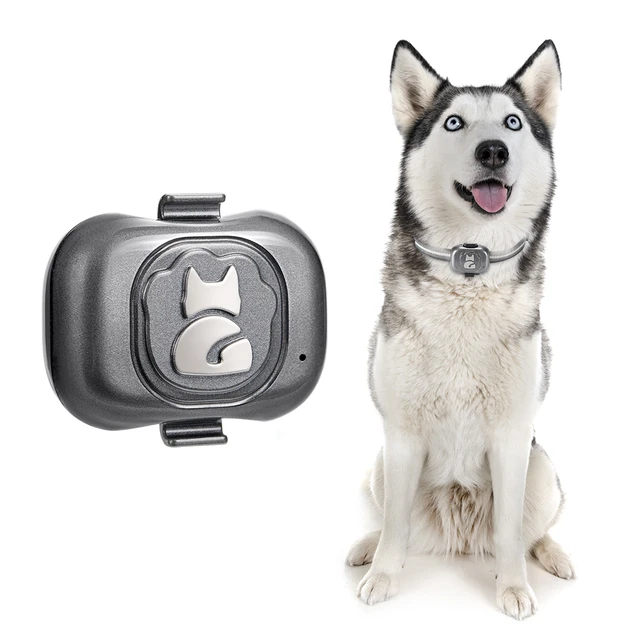 Traceur gps chien, mini traceur gps etanche pour animaux de