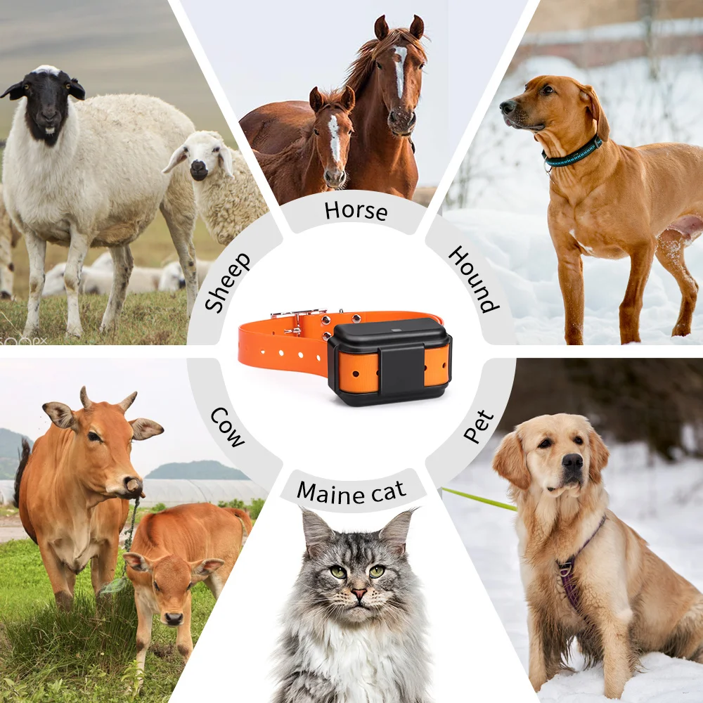 Pet GPS Tracker 4G 4000mah Long Battery Life Waterproof Dogs GPS Sound Light Tracking Hound Location Device MiCODUS MP50G