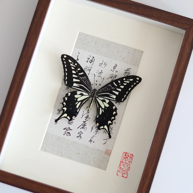 

2067 Customization Calligraphy Butterfly Photo Frame Specimen Plant Insect Decorative Painting Ornaments Festival Birthday Gift