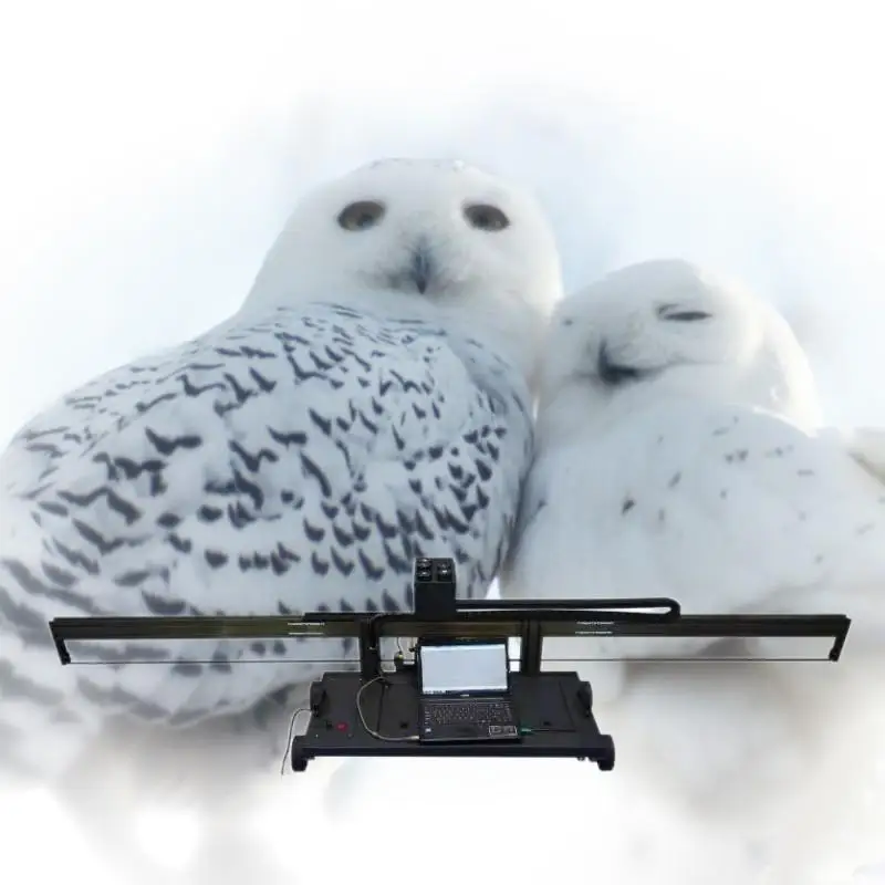 

Wholesale Inkjet Printer High-accuracy 3d Mini Format Machine Ground Printer