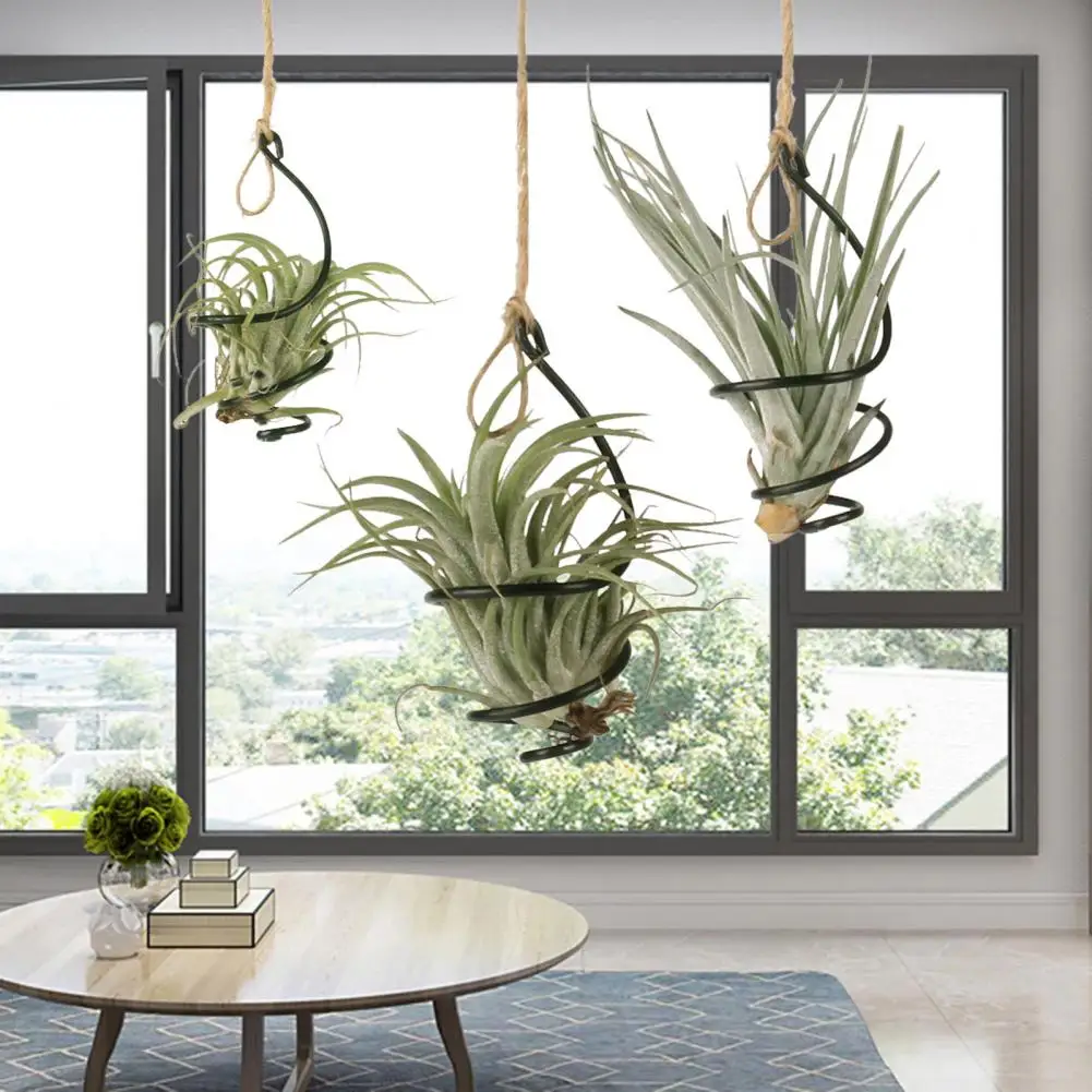 Storage Basket 6 Pcs Air Plant Holder Metal Hanging for Home Office Balcony
