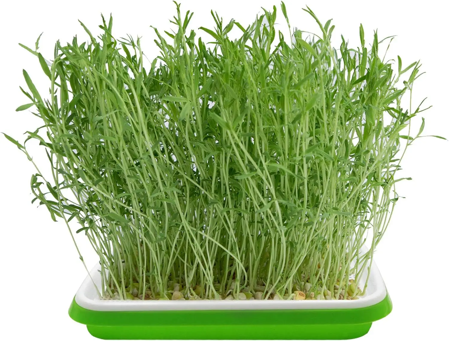 Hydroponic Germination Tray Microgreens Sprouter Tray Hydroponic Sprouting Horticultural Systems Garden Nursery Potted