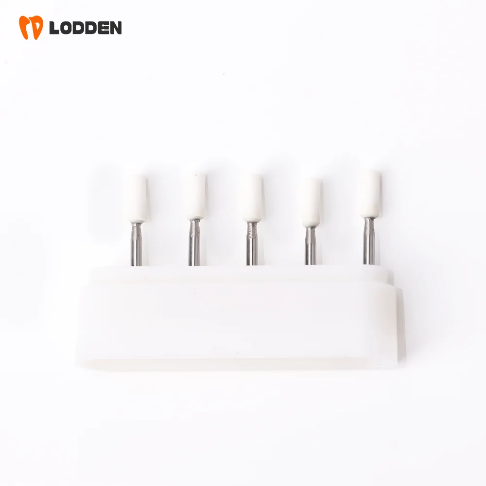LODDEN 5 Stück Dental-Polierbohrer aus weißem Stein, Kegel-/Flammen-/runde Form, Abriebbohrer, FG zum Polieren, Füllen von Verbundwerkzeugen – Detail 21