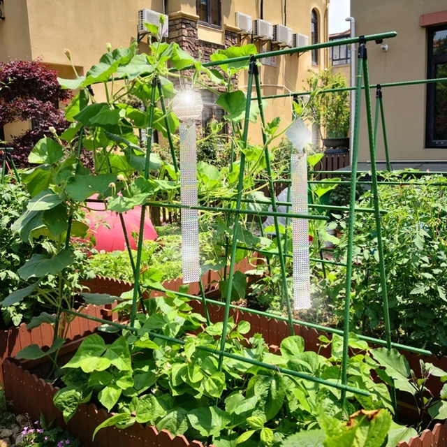 Madárgátló Rátahasznos Szalag Lézer Fényvisszaverő Függő Madár Ijesztő Szerszám Erkély Orchard Kerti Madárcsökkentő Kártevőirtó Kontroll - Image 3