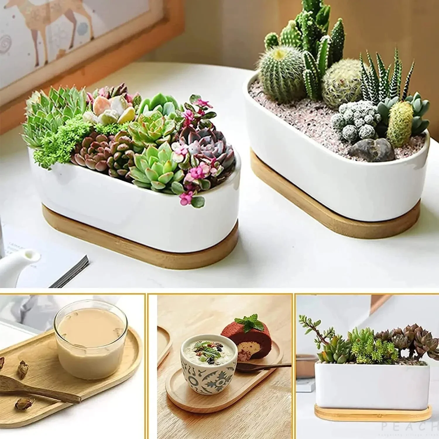 Japanese Beech Wooden Plate 2