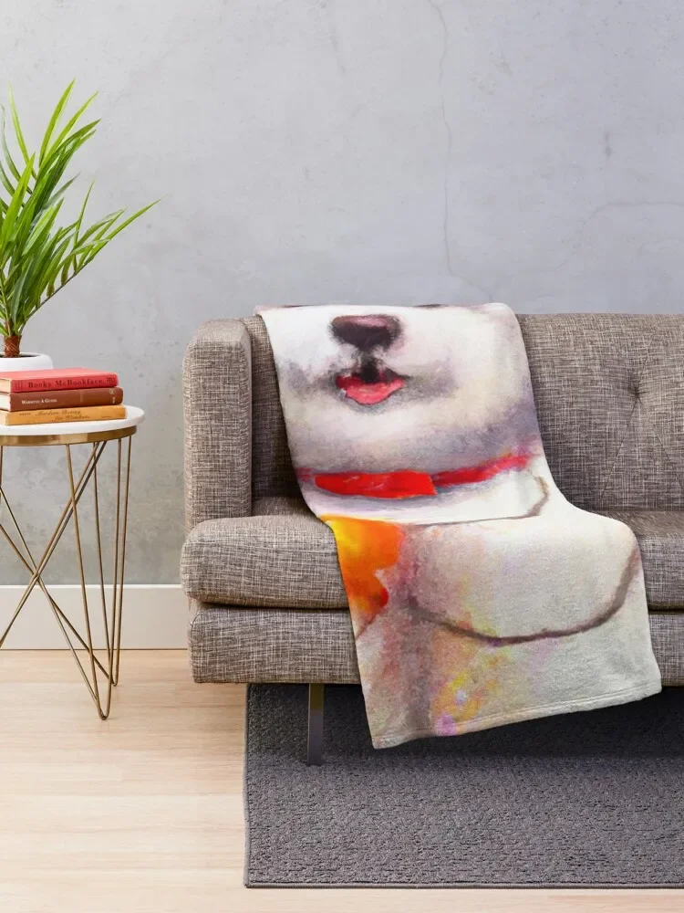 �Ϳ��� ��� ������ �׸� ������ ���, ǫ���� ���� ���� ���� ���� ���