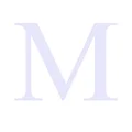 Image 20