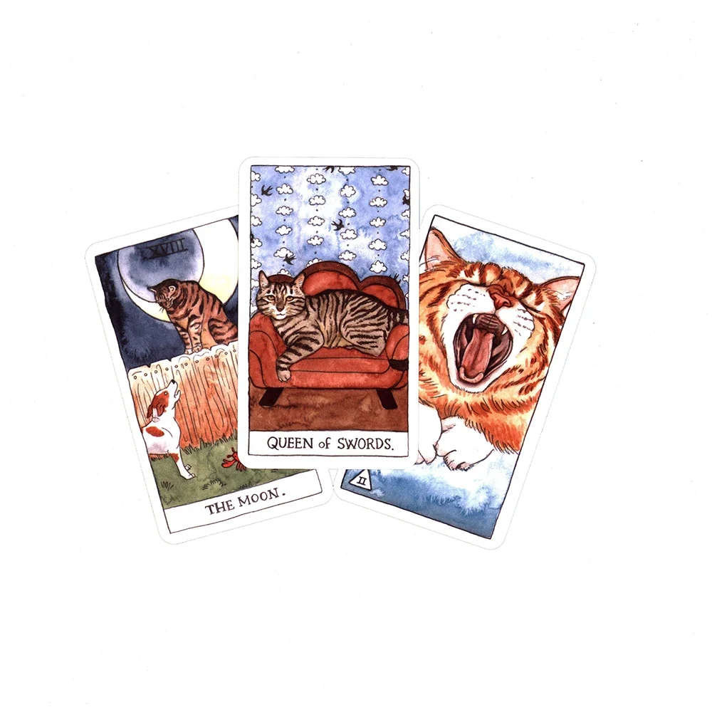 Cat Divinatio Tarot Cards For Beginners 6