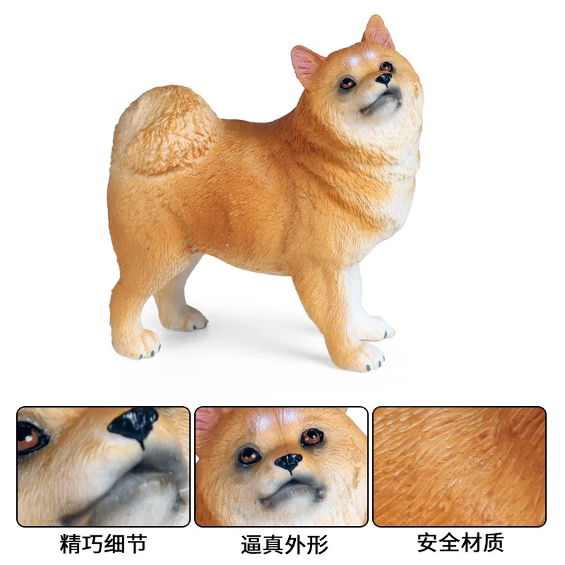https://ae01.alicdn.com/kf/S40d14a9449ad42dd8e2a6b99ecebf491U.jpg?width=800&height=800&hash=1600