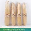 One Whole Shower Loofah About 30-40cm 100% Natural SPA Beauty Bath Sponge Body Scrubber puff Exfoliating Lofa Loofa Luffa Loffa 1