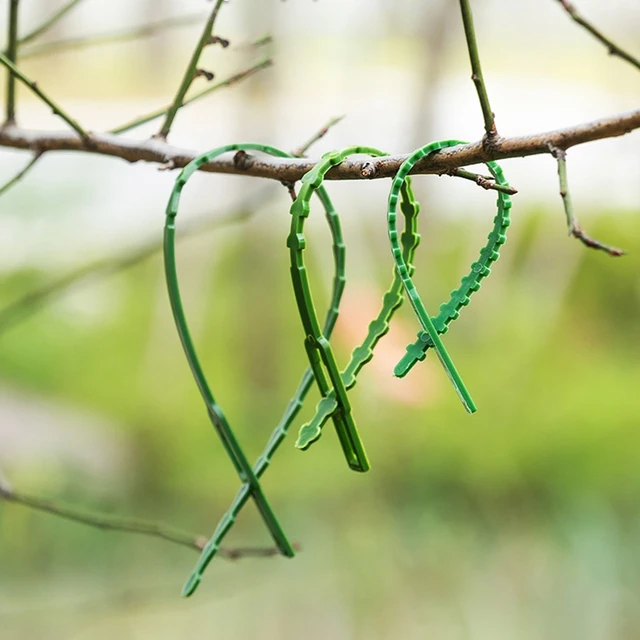 10/20/50/100Db Önzáró Műanyag Nyakkendő Állítható Növényi Kábelkötés Újrafelhasználható Kerti Kábel Zip Hurok Huzalcsomagolása - Image 3