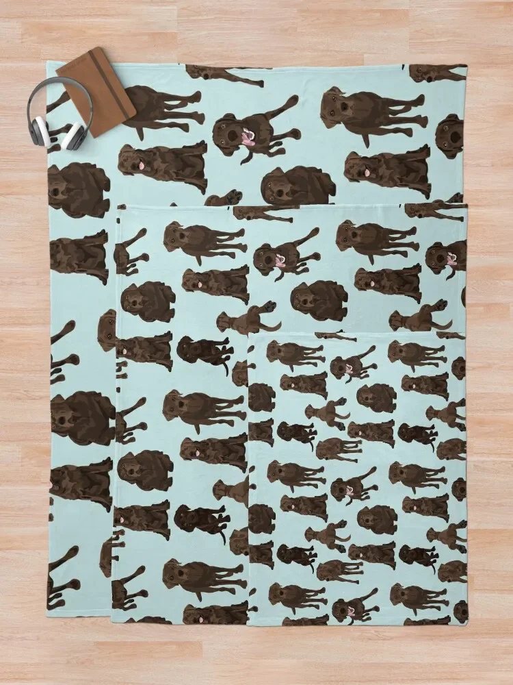 �� ���Ŀ� ���ݸ� �� ������ ���, �Ƹ��ٿ� �÷��� �����̳� ���