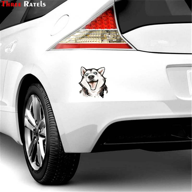 Sunhillsgrace Stickers Car Sticker Pet Funny Car Lockers1Pcs
