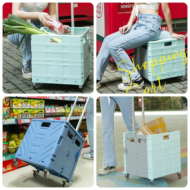 Hordozható Otthoni Élelmiszerbolt Kosár Kültéri Bevásárlókosár Összecsukható Bevásárlókocsi Rúd Meghajtó Húzó Kis Piknik - Image 2