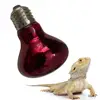 E27 Amphibian Snake Reptile Light Bulb Heat Night Light Day Poultry Heating Bulb 100W 75W 60W 50W 40W 25W 2