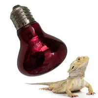 E27 Amphibian Snake Reptile Light Bulb Heat Night Light Day Poultry Heating Bulb 100W 75W 60W 50W 40W 25W 2