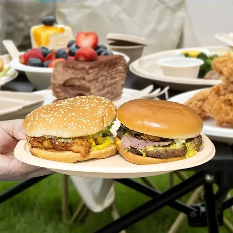 20PCS Disposable Tableware Durable Disposable Plates Birthday Camping Picnics Party Dessert Fruit Steak Spaghetti Container