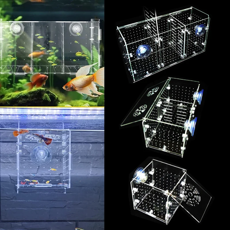 Acrylic Transparent Ornamental Betta Fish Isolation Boxes Wall-mounted Adsorption Incubator box Aquarium Breeding Fish Tank fish breeding box