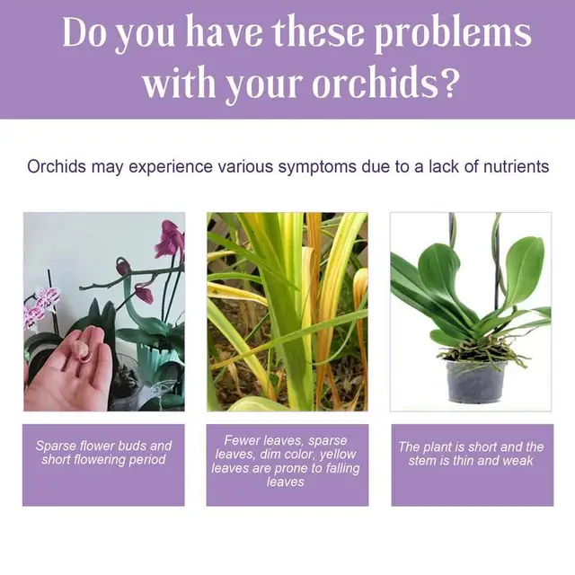 50 Ml -Es Orchidea Növényi Élelmiszer -Műtrágya Növekedés Fokozó Műtrágya Elősegíti A Virágzását Szobanövények Számára - Image 6