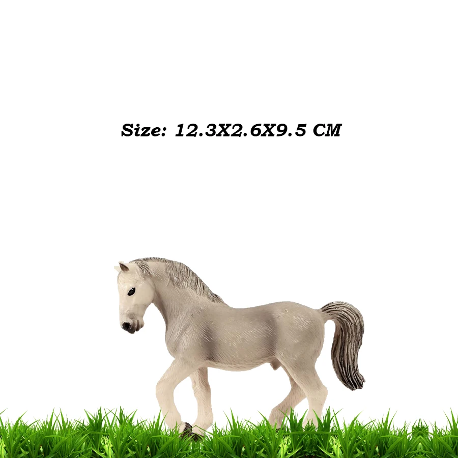 Wild Horse