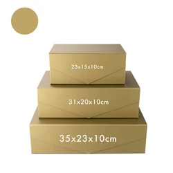 Elegant Magnetic Lid Gift Box for Special Occasions and Celebrations (Gold)