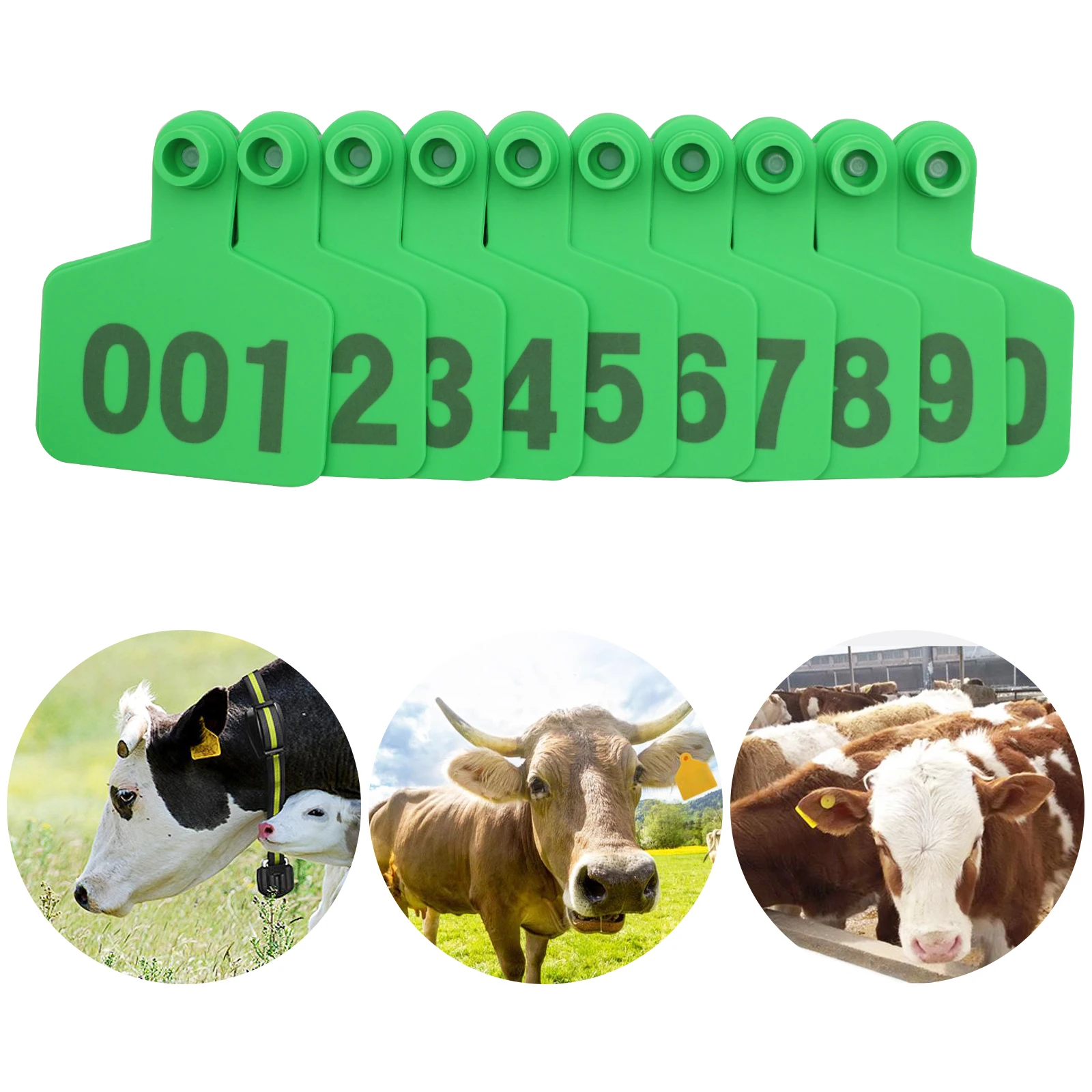 Lot De 100 étiquettes D'oreilles Vierges Pour Animaux D'élevage (moutons, Chèvres, Chiens) - ABS