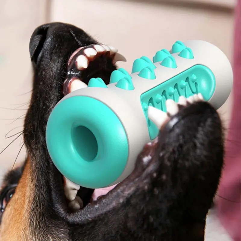 Dog Teething and Dental Care Chew Toy
