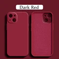 Camellia Red