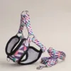 One Dog Harness and Leash Set - Comfort Adjustable - Escape Prevention Pet Leash Vest - For Small to Medium Dogs 4