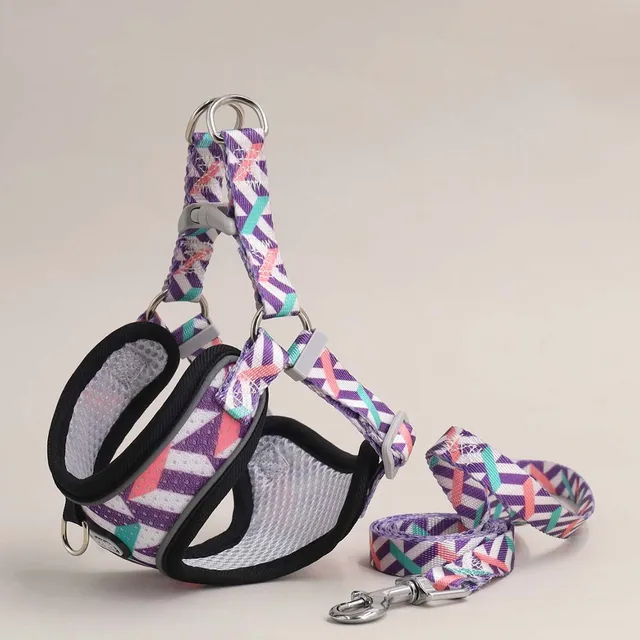One Dog Harness and Leash Set - Comfort Adjustable - Escape Prevention Pet Leash Vest - For Small to Medium Dogs 4