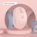 2.4G Bluetooth Pink